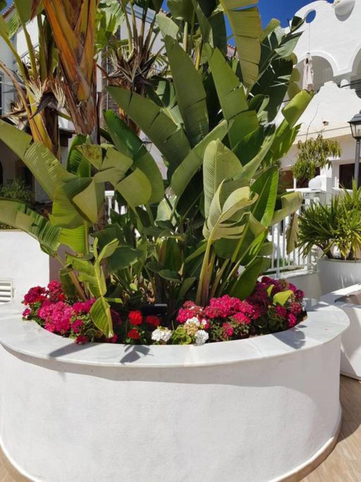 Casa Kava In A Superior Aparthotel Resort Near Cabopino No Car Needed Marbella Exterior foto